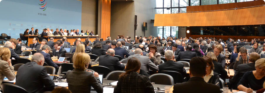 L'Organisation mondiale du commerce (OMC)