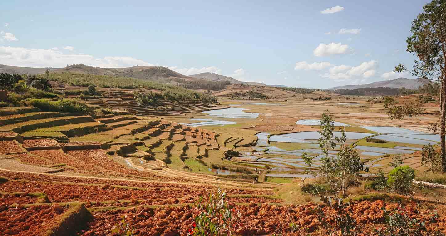 Portail d’Informations Commerciales de Madagascar 