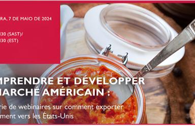 Webinaire Zoom sur la compréhension et le déverrouillage des marchés américains, partie V